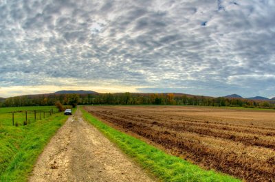 4 anneaux à la campagne_5142312785_l.jpg
